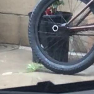 Meet your Posher, Bryan